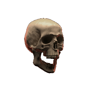 THRADL CHROME 3D